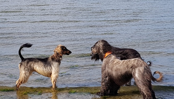 Urlaubstreffen an der Ostsee